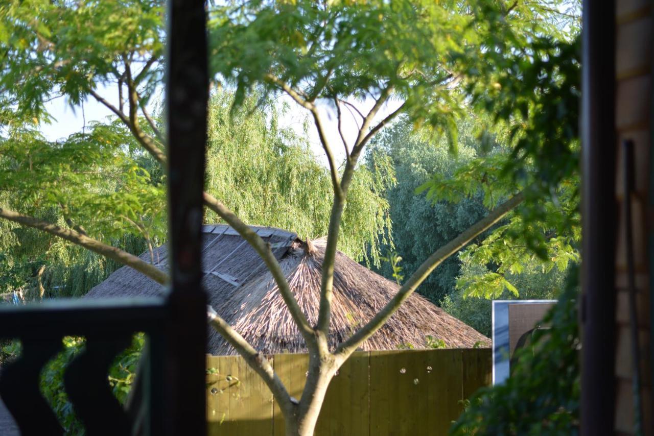 Pensiunea Yogi Dunavăţu de Jos Exterior foto