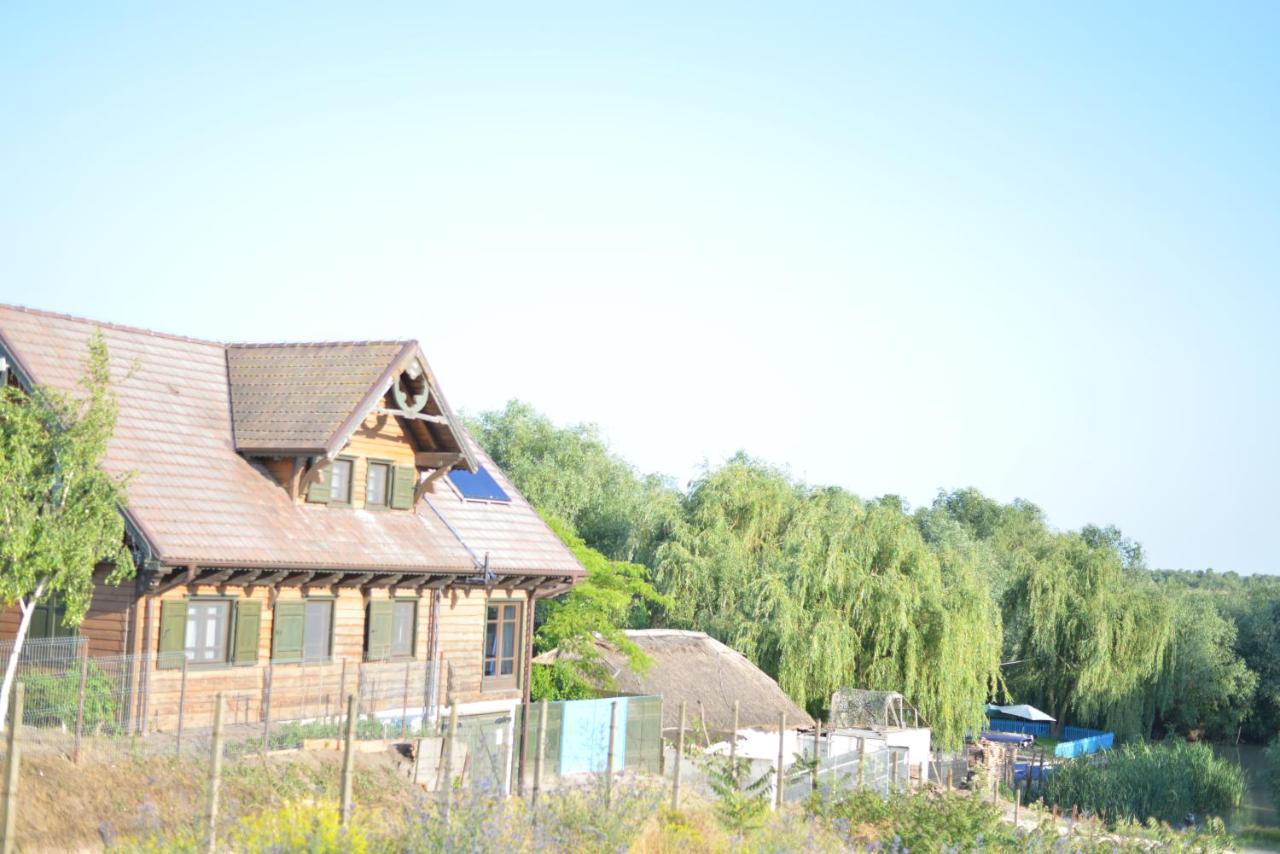 Pensiunea Yogi Dunavăţu de Jos Exterior foto