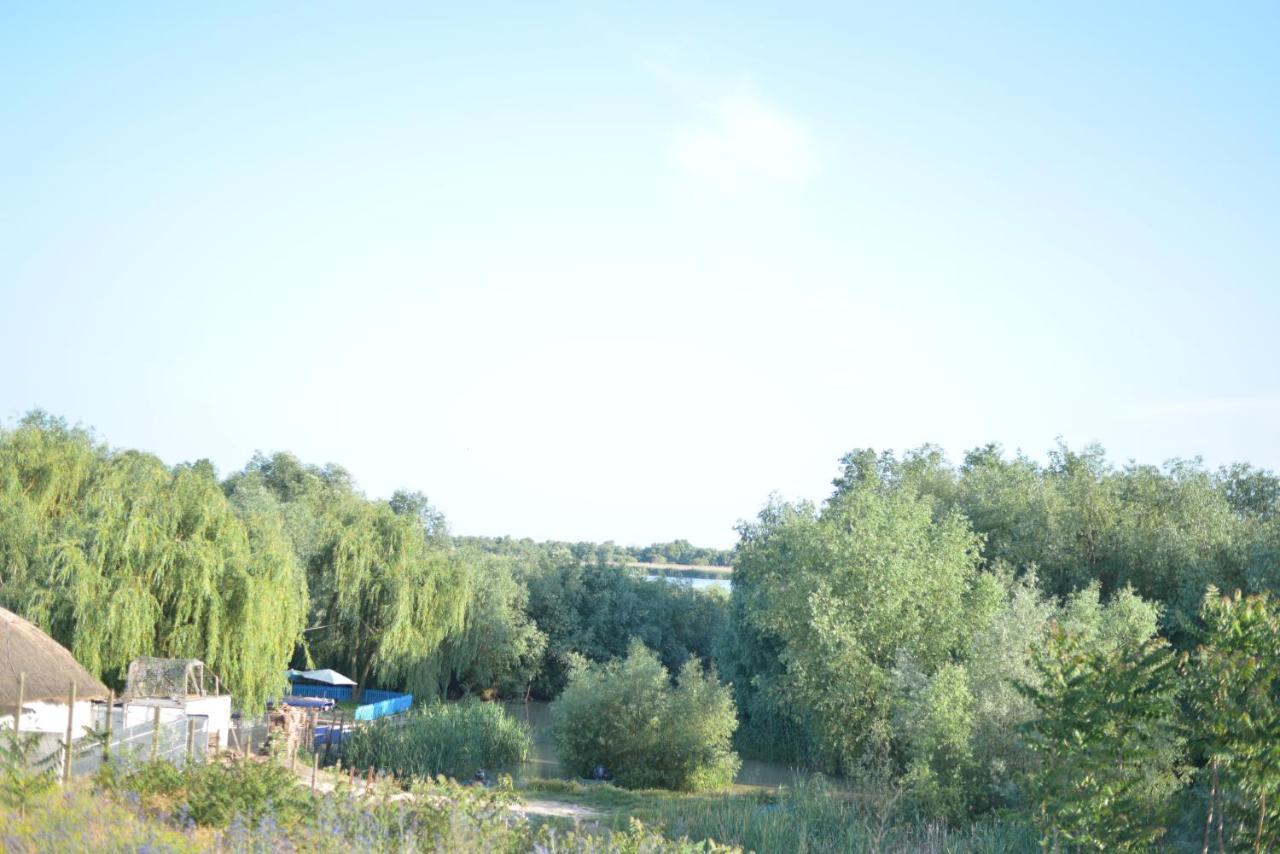 Pensiunea Yogi Dunavăţu de Jos Exterior foto