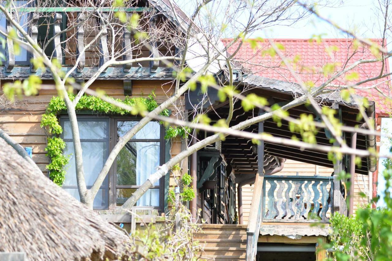 Pensiunea Yogi Dunavăţu de Jos Exterior foto