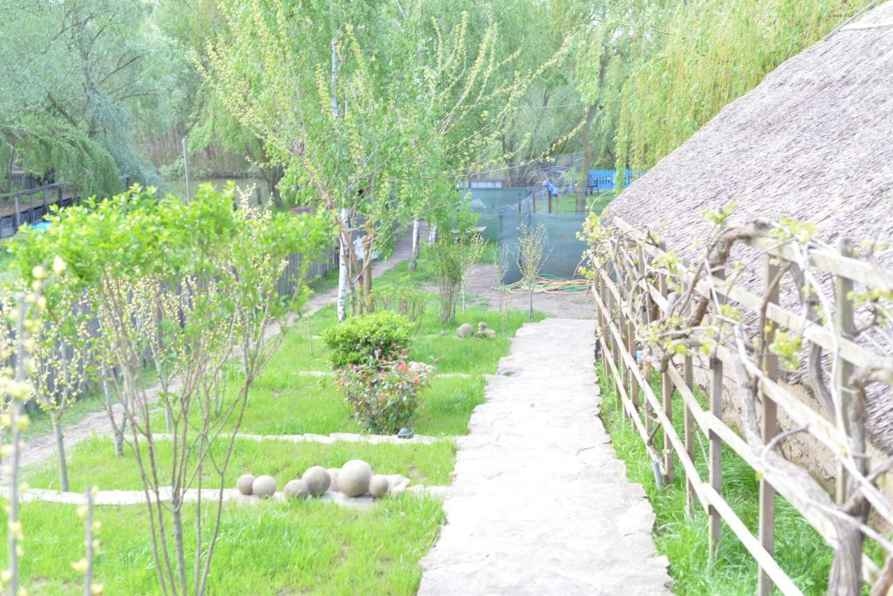 Pensiunea Yogi Dunavăţu de Jos Exterior foto