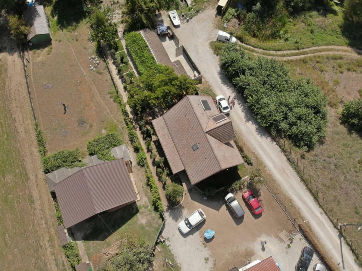Pensiunea Yogi Dunavăţu de Jos Exterior foto